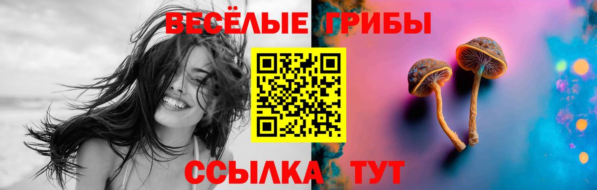 Галлюциногенные грибы GOLDEN TEACHER Ногинск